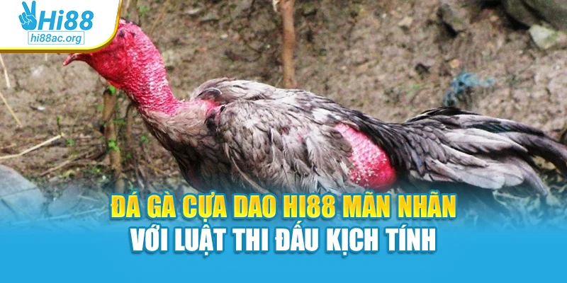 Đá Gà Cựa Dao Hi88 Mãn Nhãn Với Luật Thi Đấu Kịch Tính