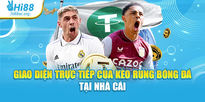 Giao diện trực tiếp của kèo rung bóng đá tại nhà cái