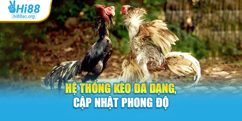 Hệ thống kèo đa dạng, cập nhật phong độ