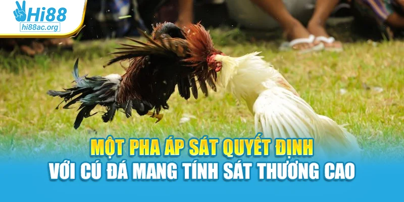 Một pha áp sát quyết định với cú đá mang tính sát thương cao