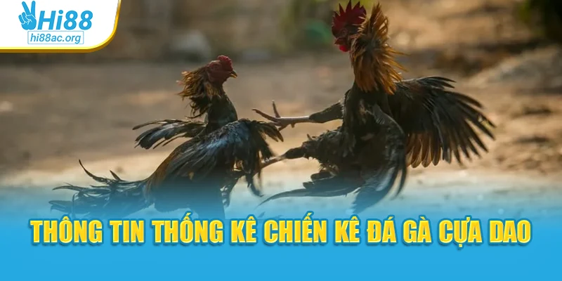 Thông tin thống kê chiến kê đá gà cựa dao