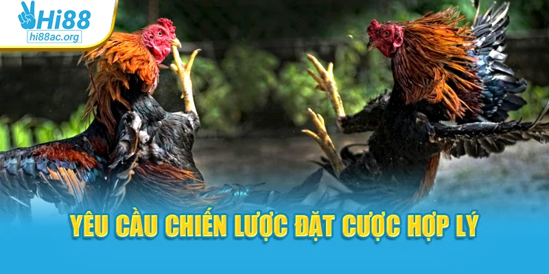 Yêu cầu chiến lược đặt cược hợp lý